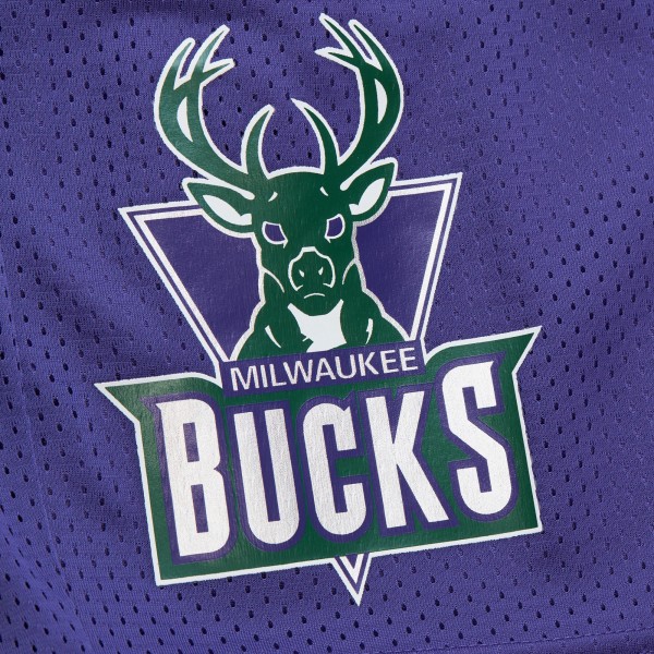 Milwaukee Bucks Mitchell & Ness Purple Hardwood Classics Gameday Mesh Shorts