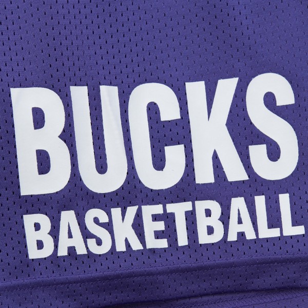 Milwaukee Bucks Mitchell & Ness Purple Hardwood Classics Gameday Mesh Shorts