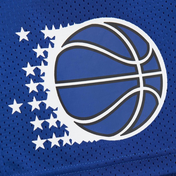 Шорты Orlando Magic Mitchell & Ness Blue Hardwood Classics Gameday Mesh