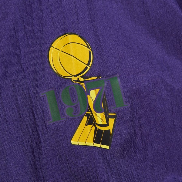 Ветровка на короткой молнии Milwaukee Bucks Mitchell & Ness Unisex Hardwood Classics Team OG 3.0 Anorak - Purple