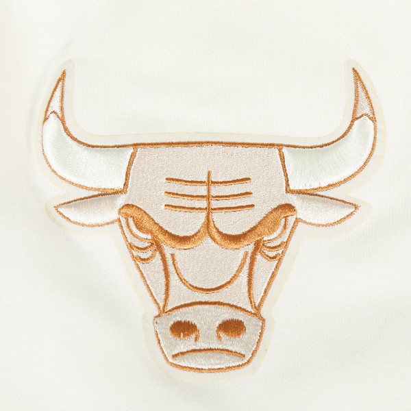 Толстовка Chicago Bulls Pro Standard Cream 2024/25 City Edition