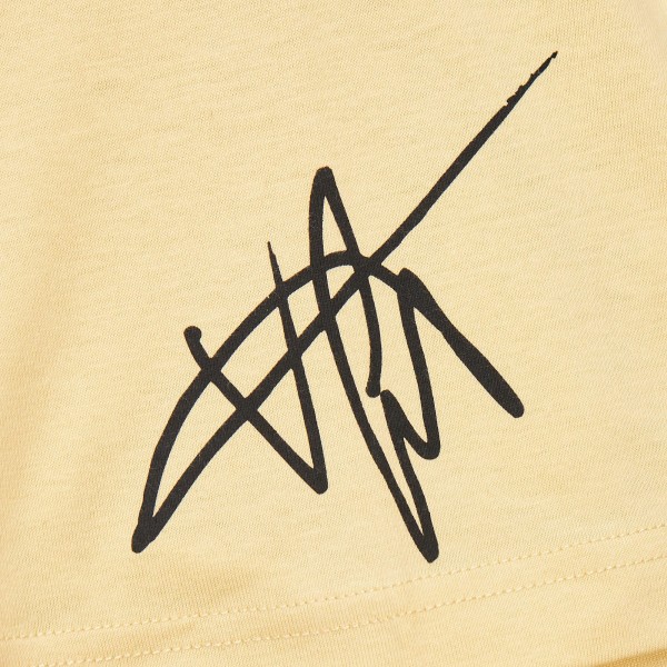 Toronto Raptors Vince Carter Mitchell & Ness Cream Premium T-Shirt