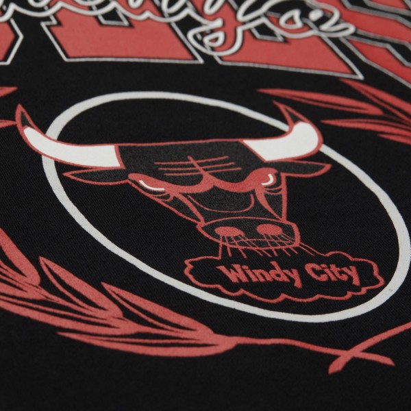 Толстовка Chicago Bulls Mitchell & Ness Black NBA x Michelob Ultra Swish & Sip