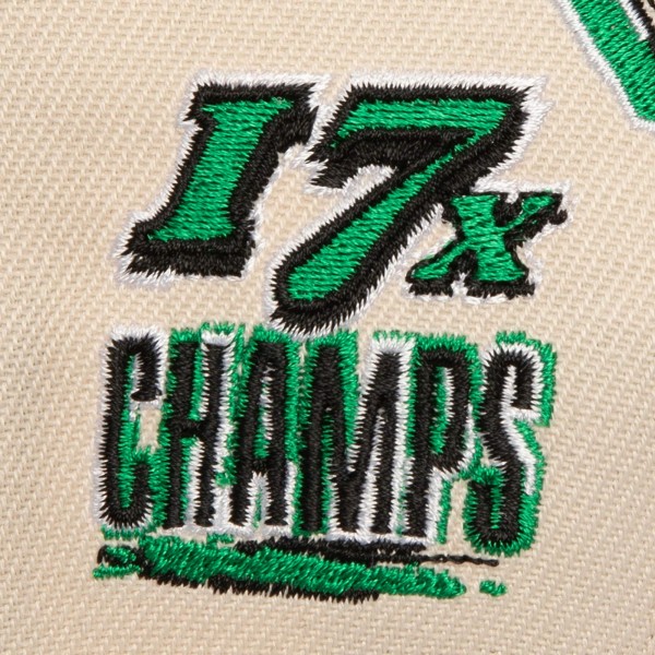Boston Celtics Mitchell & Ness Cream/Kelly Green 17x NBA Champions Soul Legacy Defined Pro Crown Snapback Hat