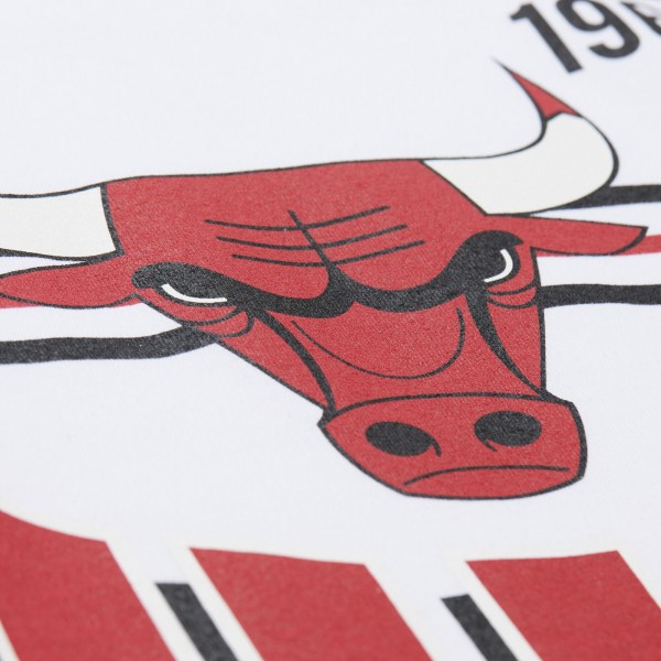 Футболка Unisex Chicago Bulls Mitchell & Ness White Hardwood Classics Vintage Team Origins Premium