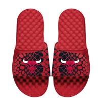 Шлепки Youth Chicago Bulls ISlide Year Of The Snake