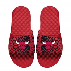 Шлепки Youth Chicago Bulls ISlide Year Of The Snake