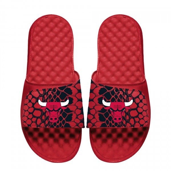 Шлепки Youth Chicago Bulls ISlide Year Of The Snake