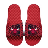 Шлепки Unisex Chicago Bulls ISlide Year Of The Snake