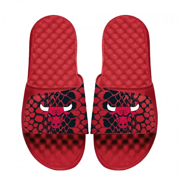 Шлепки Unisex Chicago Bulls ISlide Year Of The Snake