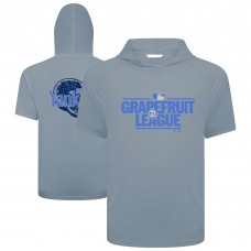 New York Yankees Levelwear Gray 2025 Spring Training Phase Hoodie T-Shirt