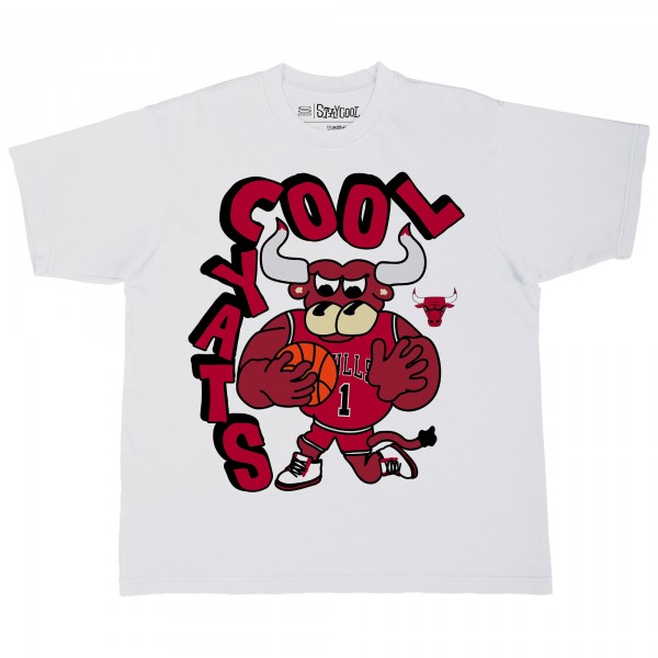 Футболка Chicago Bulls Stadium Essentials White NBA x Staycool Mascot Oversized