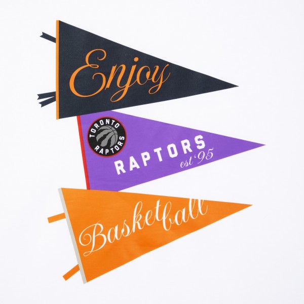 Unisex Toronto Raptors Enjoy Basketball White Hoop Enthusiast Capsule Collection T-Shirt
