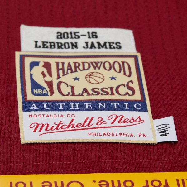 Джерси Cleveland Cavaliers LeBron James Mitchell & Ness Wine Hardwood Classics 2015/16 Authentic
