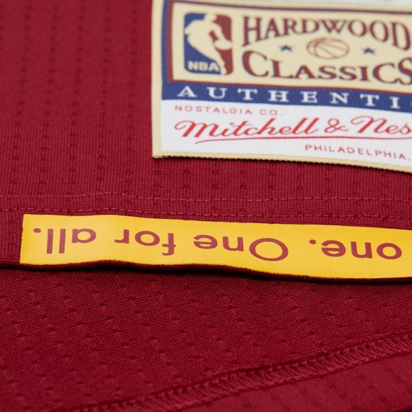 Джерси Cleveland Cavaliers LeBron James Mitchell & Ness Wine Hardwood Classics 2015/16 Authentic