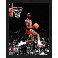 Chicago Bulls Michael Jordan Highland Mint 12 x 15 Legacy Collectible Framed Photo