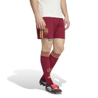 Spain National Team adidas FIFA x World Cup 2026 Replica Shorts - Red