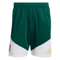 Italy National Team adidas FIFA x World Cup 2026 Tiro Training Shorts - Green