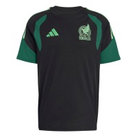 Mexico National Team adidas FIFA x World Cup Tiro Sweat Raglan T-Shirt - Black