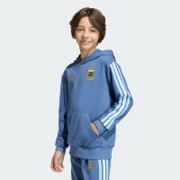 Подростковая Argentina National Team adidas FIFA x World Cup Alphaskin Hoodie - Blue