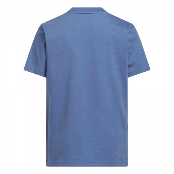 Подростковая Argentina National Team adidas Jersey Hook T-Shirt - Blue
