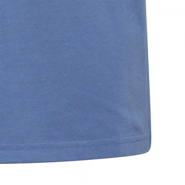 Подростковая Argentina National Team adidas Jersey Hook T-Shirt - Blue