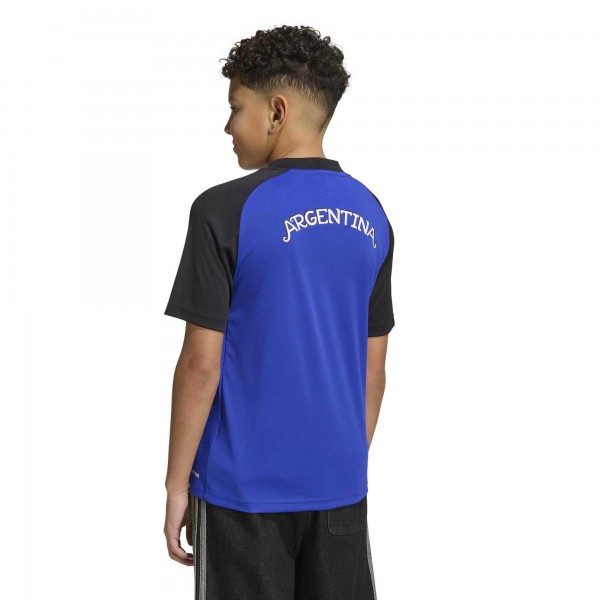 Подростковая Argentina National Team adidas Pre-Match Training Jersey - Blue