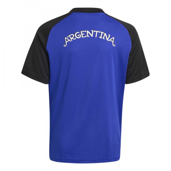 Подростковая Argentina National Team adidas Pre-Match Training Jersey - Blue