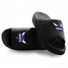 Подростковая Charlotte Hornets ISlide Black Primary Motive Slide Sandals
