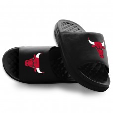 Шлепки Unisex Chicago Bulls ISlide Black Primary Motive