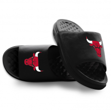 Шлепки Unisex Chicago Bulls ISlide Black Primary Motive