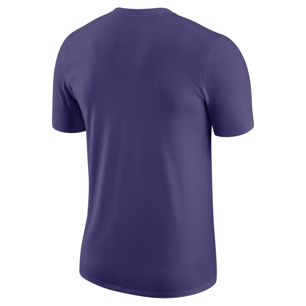 Футболка Charlotte Hornets Nike Purple Essential