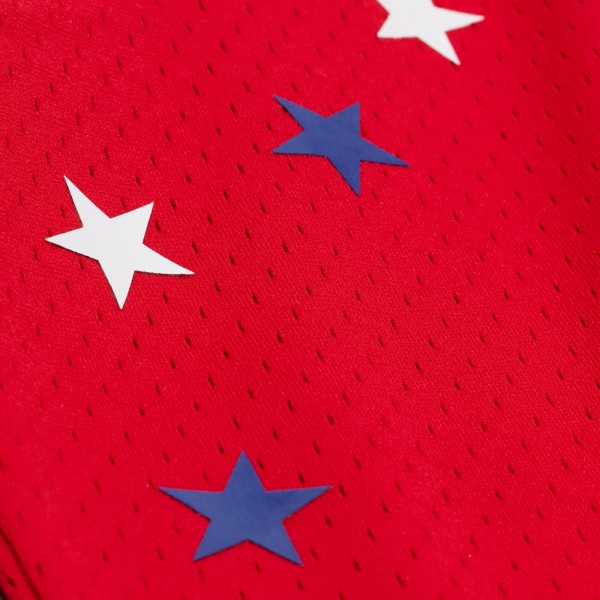 Джерси Eastern Conference Larry Bird Mitchell & Ness Red 1983 All-Star Game Swingman