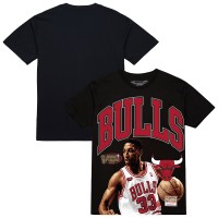 Футболка Chicago Bulls Scottie Pippen Mitchell & Ness Black Hardwood Classics Player Arch
