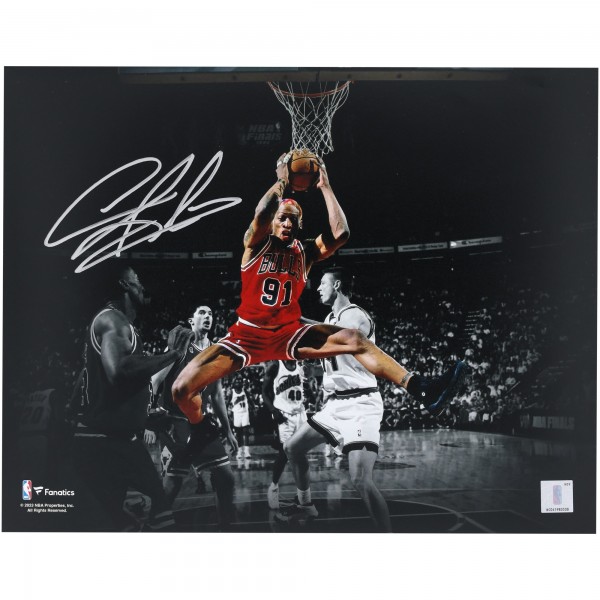 Dennis Rodman Chicago Bulls Autographed Fanatics Authentic 11 x 14 Rebound Spotlight Photograph - Signed in Silver Ink
