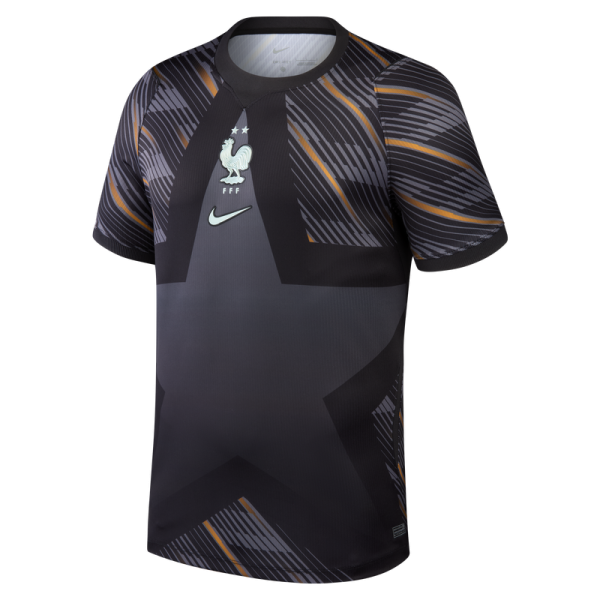 Джерси France National Team Nike 2026 Goalkeeper Stadium Replica - Gray