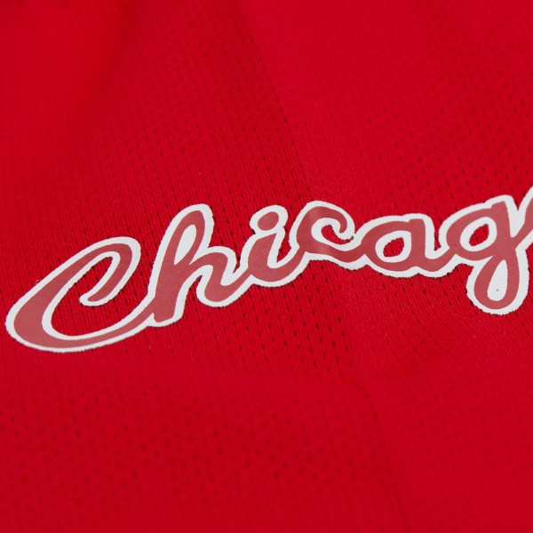 Unisex Chicago Bulls Dennis Rodman Mitchell & Ness Red Maxxed Out Fashion Hockey Jersey