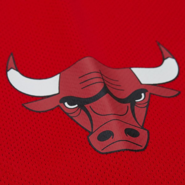 Unisex Chicago Bulls Dennis Rodman Mitchell & Ness Red Maxxed Out Fashion Hockey Jersey