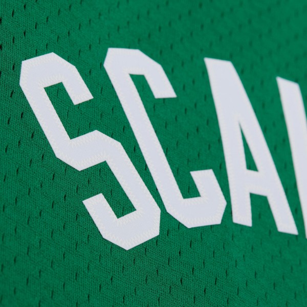 Джерси Boston Celtics Brian Scalabrine Mitchell & Ness Kelly Green 2007/08 Hardwood Classics Swingman