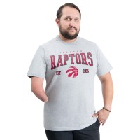 Toronto Raptors G-III Sports by Carl Banks Gray Adaptive Classic Team Spirit Short Sleeve T-Shirt