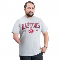 Toronto Raptors G-III Sports by Carl Banks Gray Adaptive Classic Team Spirit Short Sleeve T-Shirt