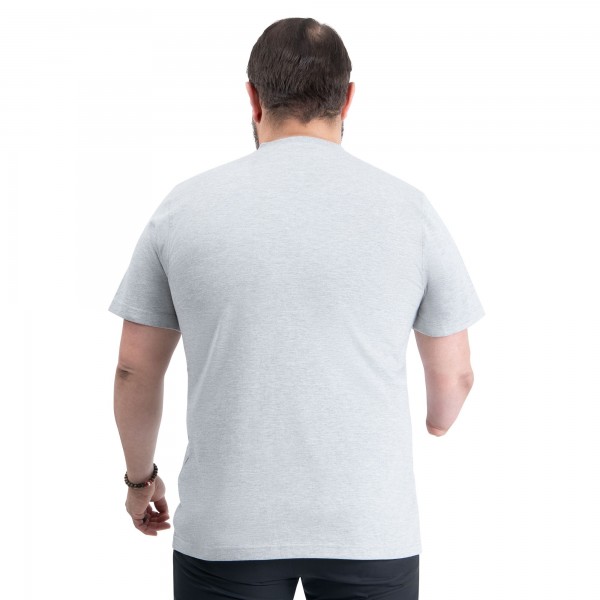 Toronto Raptors G-III Sports by Carl Banks Gray Adaptive Classic Team Spirit Short Sleeve T-Shirt