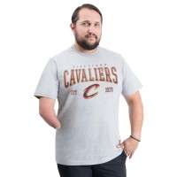 Cleveland Cavaliers G-III Sports by Carl Banks Gray Adaptive Classic Team Spirit Short Sleeve T-Shirt