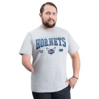 Charlotte Hornets G-III Sports by Carl Banks Gray Adaptive Classic Team Spirit Short Sleeve T-Shirt