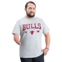 Футболка Chicago Bulls G-III Sports by Carl Banks Gray Adaptive Classic Team Spirit Short Sleeve