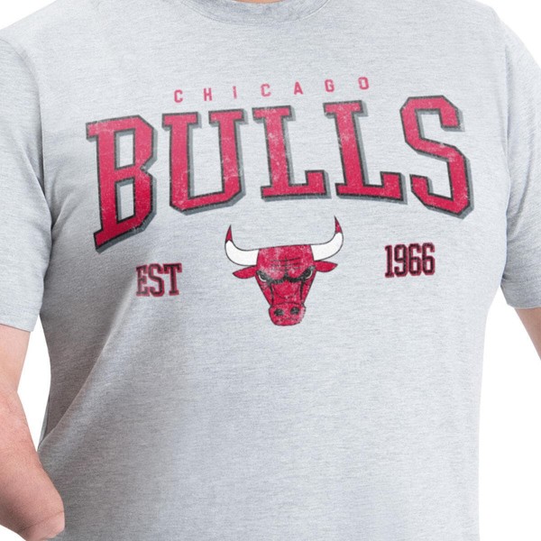 Футболка Chicago Bulls G-III Sports by Carl Banks Gray Adaptive Classic Team Spirit Short Sleeve