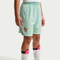 Подростковая France National Team Nike 2026 Away Stadium Replica Shorts - Green