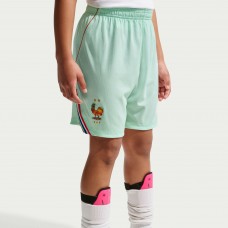 Подростковая France National Team Nike 2026 Away Stadium Replica Shorts - Green