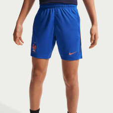 Подростковая France National Team Nike 2026 Strike Dri-FIT Shorts - Royal