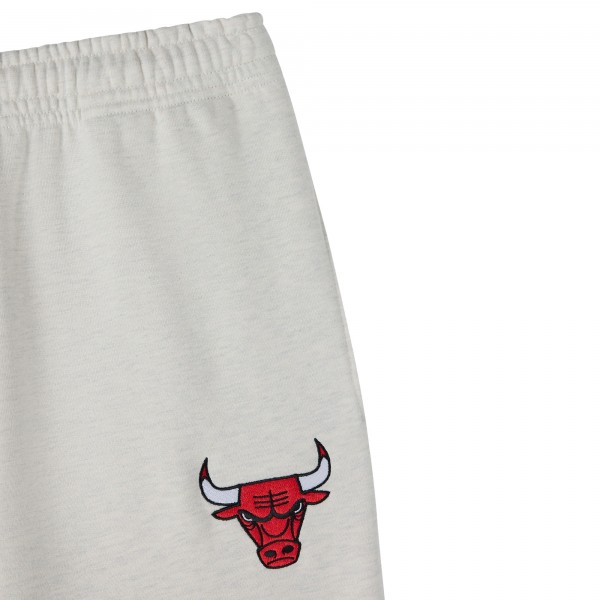 Штаны Chicago Bulls OVO x NBA Gray Snap